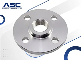 SS 317 Threaded Flanges